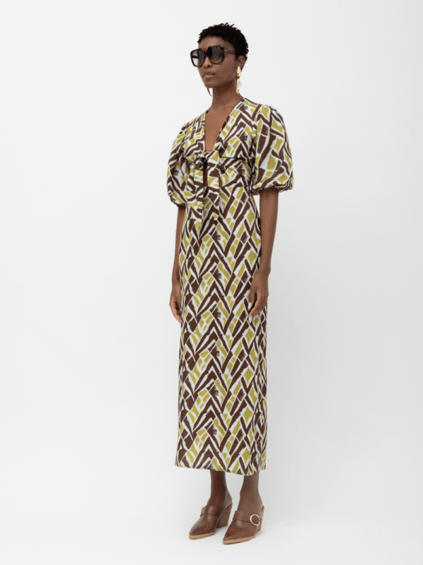 IMG_2696 Suez Lime Brown Print Dress