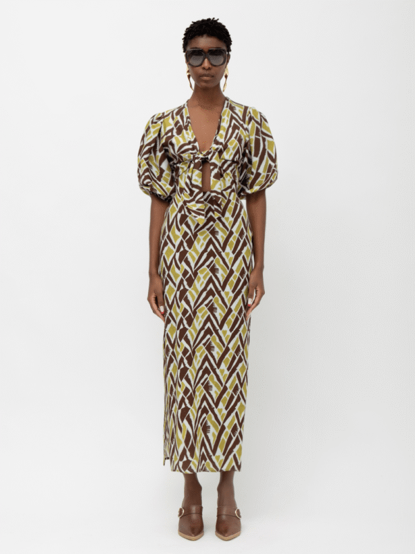 Suez Lime Brown Print Dress